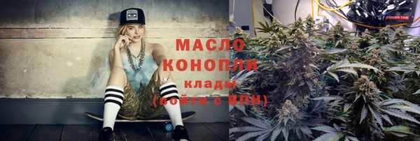 гидра Анжеро-Судженск