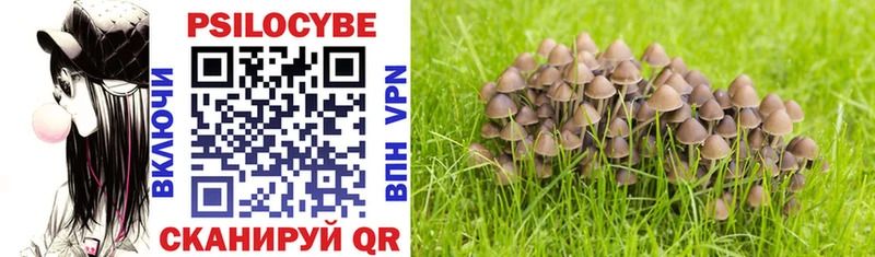 Галлюциногенные грибы Psilocybe  Ялуторовск 