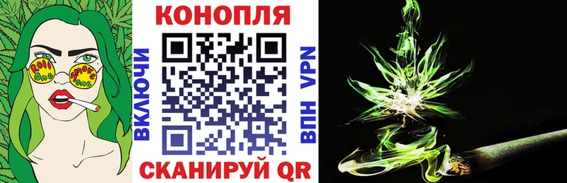 Конопля планчик KRAKEN сайт Ялуторовск как найти